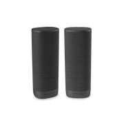 Harman Kardon Citation Surround